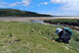 A woman crouches in a grassy landscape