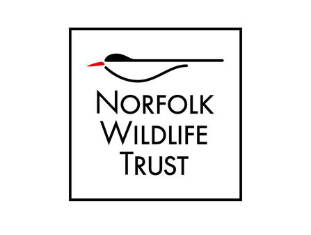 A line art common tern with the words Norfolk Wildlife Trust